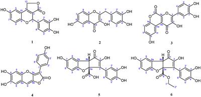 Six new polyphenolic metabolites isolated from the Suillus granulatus and their cytotoxicity against HepG2 cells